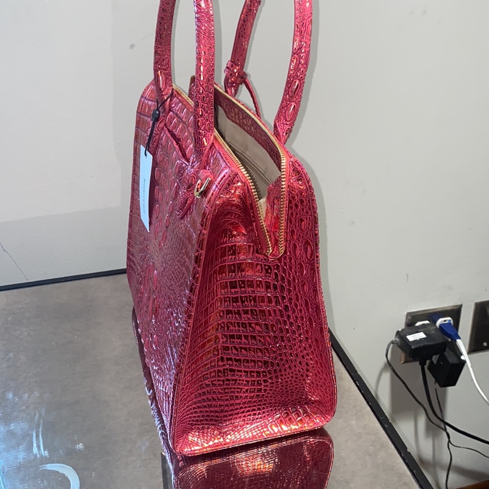 Brahmin - Picture 8 of 15